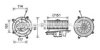 AVA QUALITY COOLING MS8624 Electric Motor, interior blower